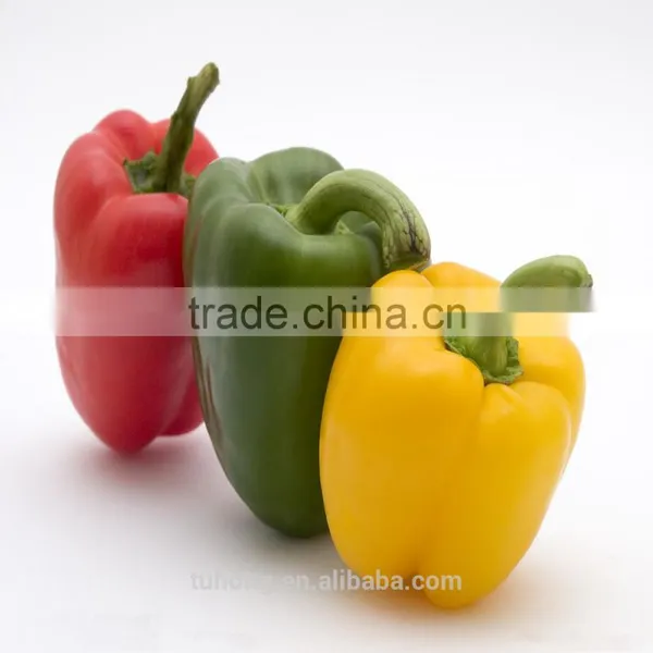 Bell Chilli Hybrid Seeds for Planting