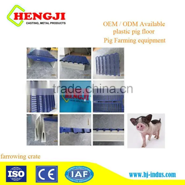 Pig Farming Equipment Plastic Slat Floor Made in China photo-5