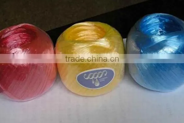 Competitive Price PP Packing Rope/bale Rope for Agriculture photo-2