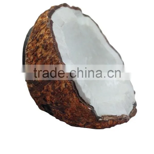 COCONUT FRUIT MAGNET RESIN 3D FRIDGE MAGNET SOUVENIR photo-6