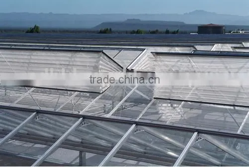 Large Commercial Glass Greenhouseglass/ Agricultural Greenhouses/Glass Venlo Greenhouse photo-4