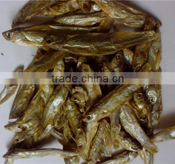 Microwave Dried Fish for Pet (turtle;lizard);Factory Price Dried Fish photo-6