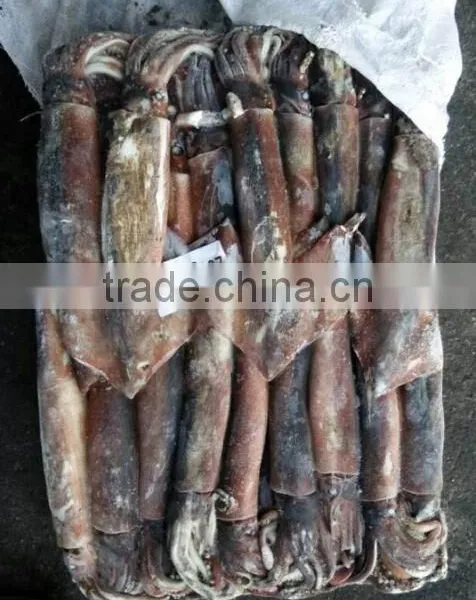 Frozen Illex Argentinus Squid photo-5