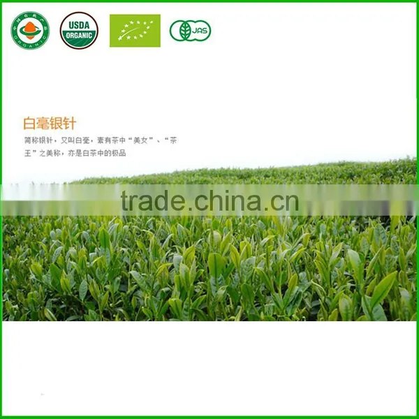 Fuding White Tea, Bai Hao Yin Zhen, Fujian White Silver Needle photo-5