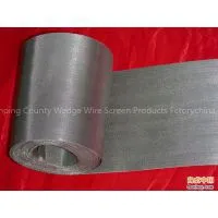 Stainless Steel Wire Mesh photo-2