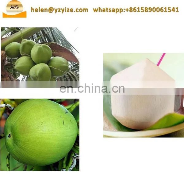 Manual Young Coconut Peeling Machine Coconut Peeler Machine Philippines photo-4