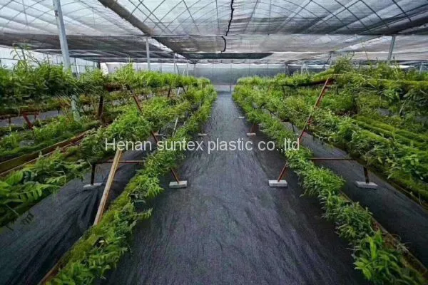 2*100m 100gsm Black Weed Control Mat,orchard Tree Ground Cover Anti Weed Mat,PP Material Agricultural Weed Barrier Mat photo-3