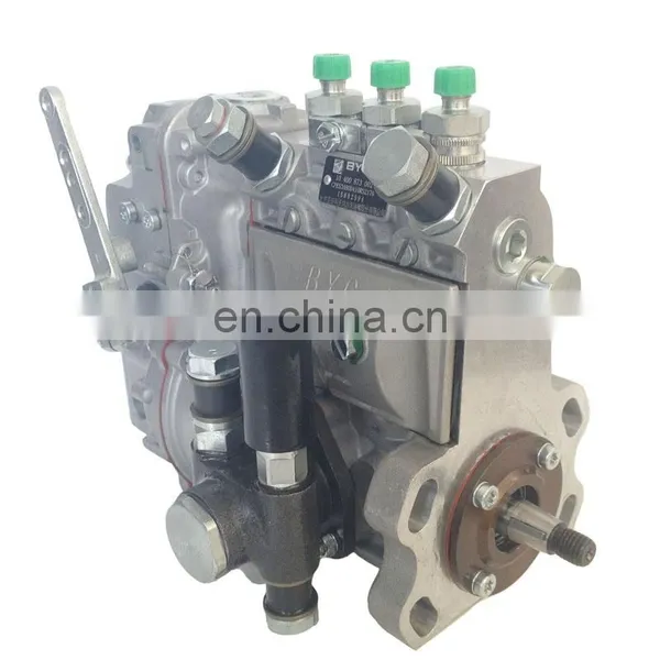 BYC Injection Pump 02232387 0223 2387 for Bei Nei Deutz Engine photo-3