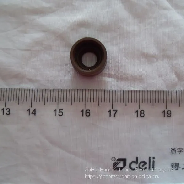 188F 5KVA Generator Intake Exhaust Valve Oil Seal Spare Parts photo-2