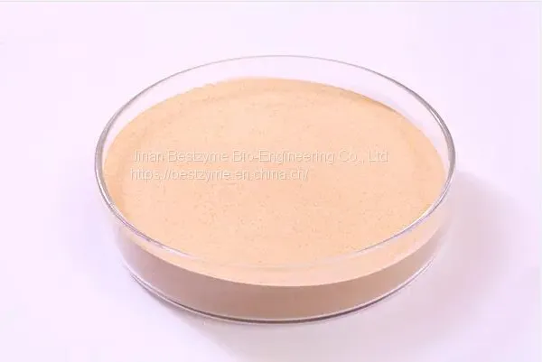 Feed Enzyme