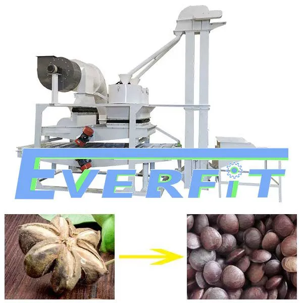 Producing Sacha Inchi Oil Machine in China | Sacha Inchi Shelling Machine photo-3