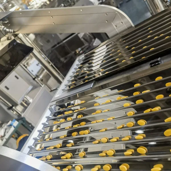 Servo Counting Machine for Pharmaceutical Powder and Capsule Filling photo-3