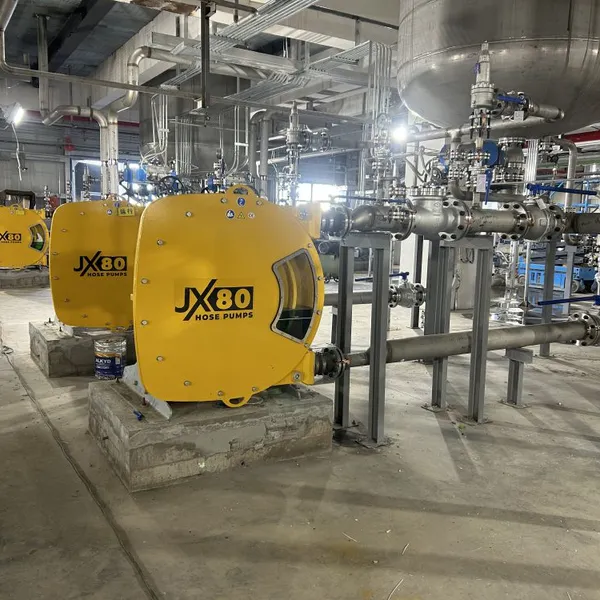 Industrial Peristaltic Hose Pumps Are Produced in China, and the Hoses Are Made in Italy