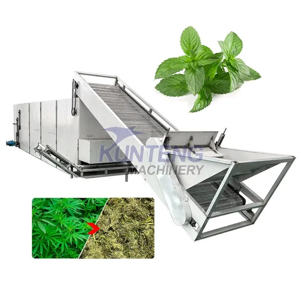 Équipement automatique de séchage de feuilles de marijuana Machine de séchage de chanvre EPC