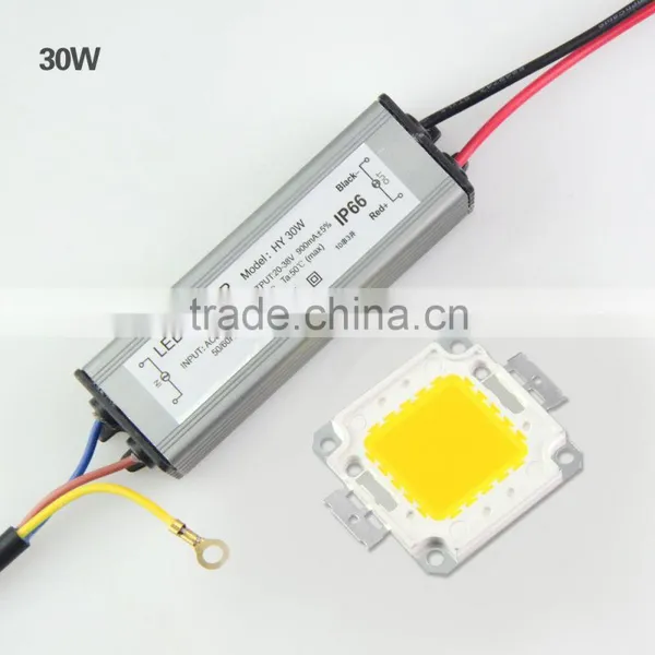 10W 20W 30W 50W 100W LED Bead Chip for High Power DIY LED Floodlight Lamp Spot Light Integrated COB LED Beads With IP66 Driver photo-3