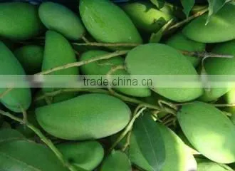 Green Mango