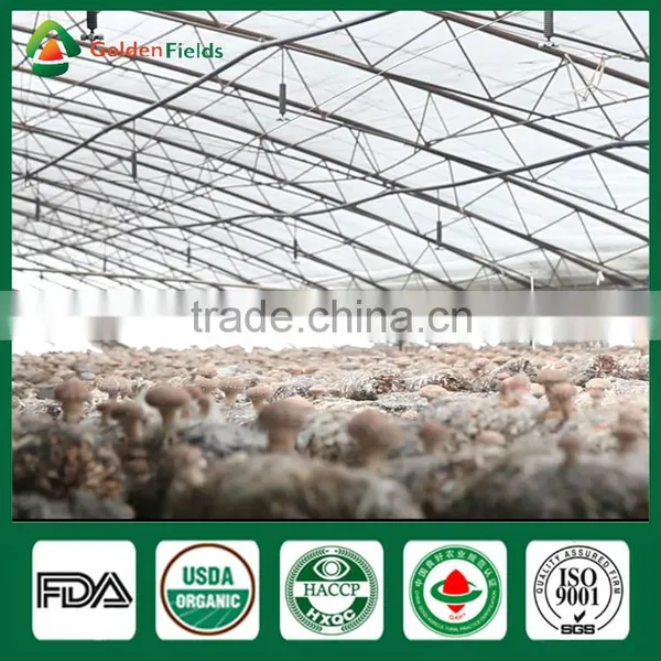 Dried Shiitake Mushrooms,Fresh Shiitake Mushrooms,Mushroom Seeds For Sale photo-2