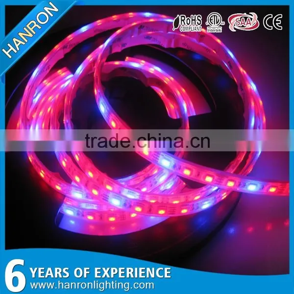 Shenzhen Factory Growing Lights LED 3w LED Grow Light for Growing photo-3