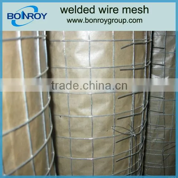 1x1/2 Welded Wire Mesh