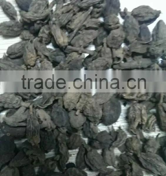 2015 New Crop Black Cardamom With High Quality for Sale photo-4