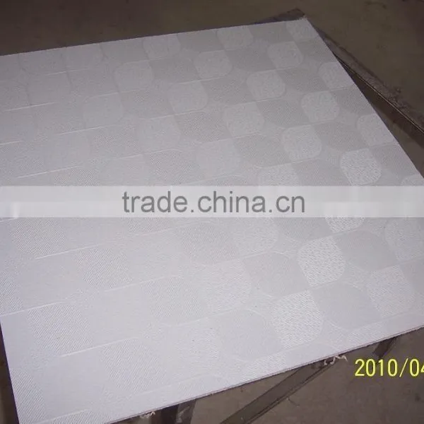 Hot Sale Plasterboard/Rhinoboard photo-4