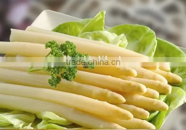 Canned White Asparagus photo-6