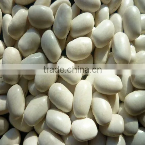 2015crop White Kidney Bean