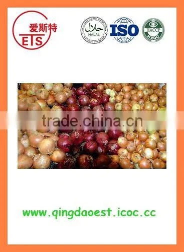 Export Fresh New Crop Red Yellow Onion photo-3