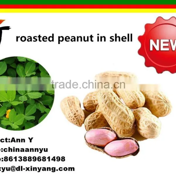 Wholeslae Garlic Roasted Peanuts photo-4