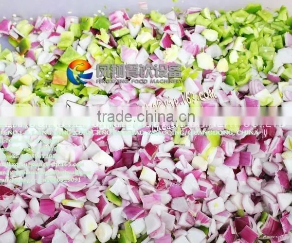 CD-800 Electric High Efficiency Vegetable Fruit Dicing Cube Cutting Machine photo-6