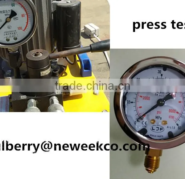 Neweek Vertical Precise Hydraulic Olive Oil Press Machine photo-4