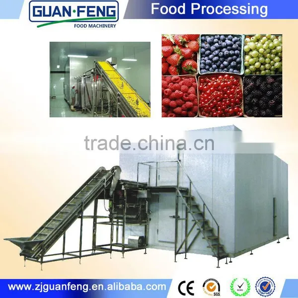 Fluidized Quick Freeze Machine Berries And Potato Processing photo-3