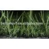 Artificial Turf BN35217110(3tone)