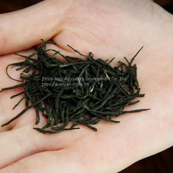 500 g Gift Box of Enshi Yulu Green TeaSuper Green Tea Enshi Yulu Tea photo-5