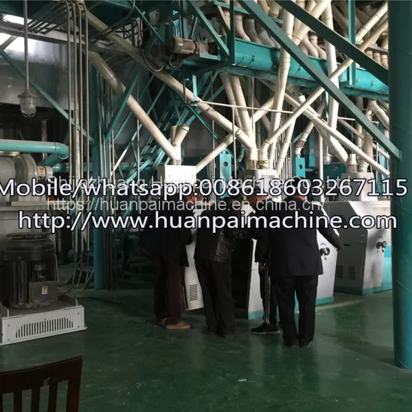 Automatic Grain Rice Maize Corn Milling Equipment/semolina Fine Meal Making Machine photo-5
