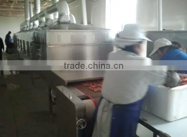 High Efficient Continuous Microwave Dryer photo-6