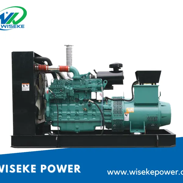 200kva Commercial Use Diesel Genset With Cummins Engine Wiseke Power With ISO9001