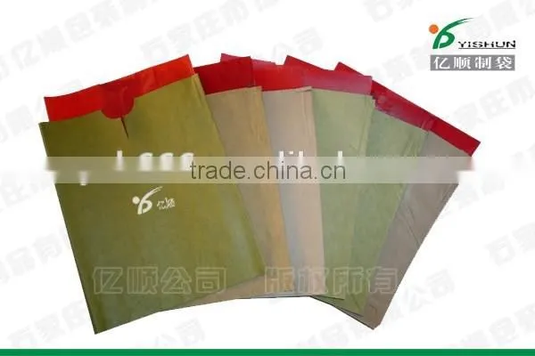 Hot Selling Apple Growing Paper Bag photo-4