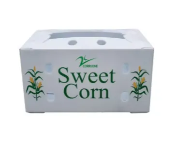 Reusable PP Hollow Packaging Box – Corrugated Plastic Crate for Fruit and Vegetable Transport