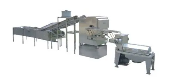 Indrustiral Lychee Fruit Juice Litchi Juice Powder Production Machine Processing Line photo-5