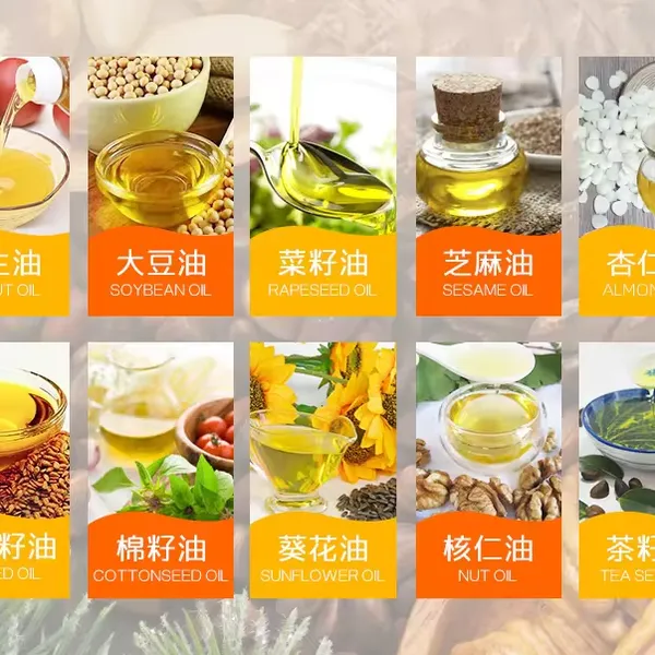 Oil Pressing Machine Tea Seed Sesame Hydraulic Press, Commercial Full-automatic Vertical Press, Sesame Oil Machine photo-5