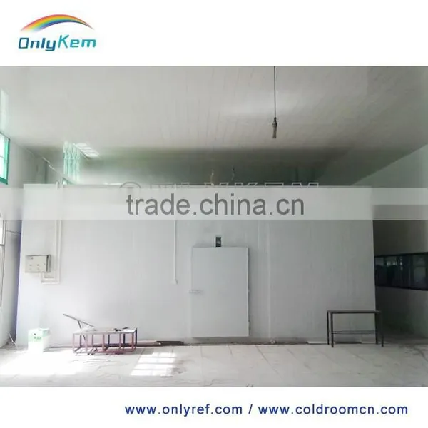 Big Freezer/cold Room Insulated PU Sandwich Panel Supplier's Choice photo-5
