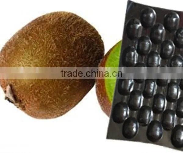 High Quality OEM Foam Food Packaging Tray, Strip EPS Foam Tray for Packaging, EPS Plastic Foam Meat Tray photo-4