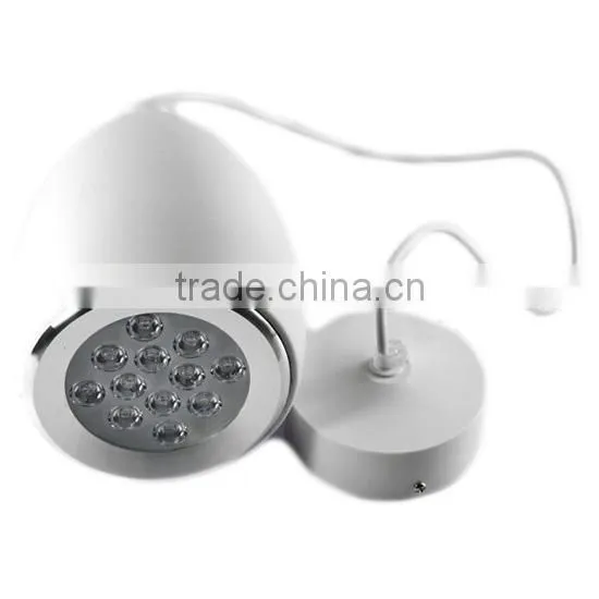 The Wax Gourd 9W 12W LED Pendant Lights Fashionable LED Art Chandelier Droplight photo-6