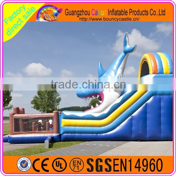 Blue Whale Inflatable Water Slide photo-2
