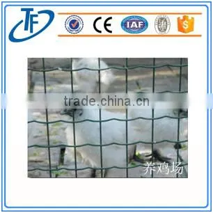 Holland Wire Mesh photo-3