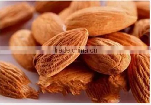 Sweet Almond Oil Wholesalers, 100% Pure and Natural, in Carrier Oil Quality Choice