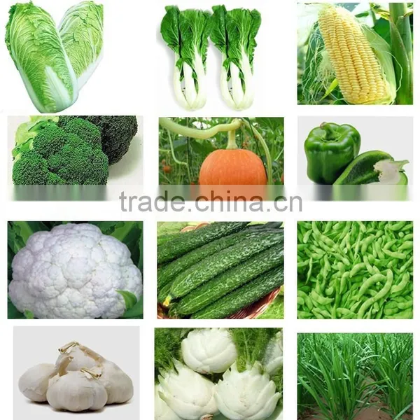 High Quality Vegetable Cleaning Machine/Fruit Cleaning Machine/vegetable Washing Machine Quality Choice photo-3