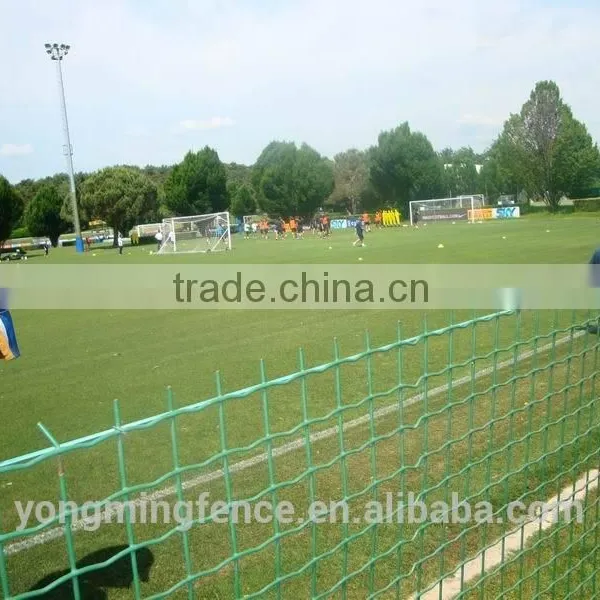 Galvanized and Powder Coating Welded Euro Fence for Sale photo-5
