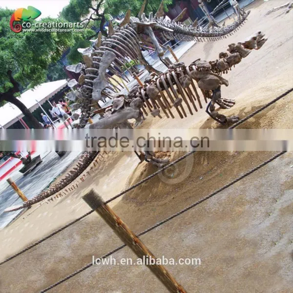 High Quality Dinosaur Skeleton Replica for Museum photo-3